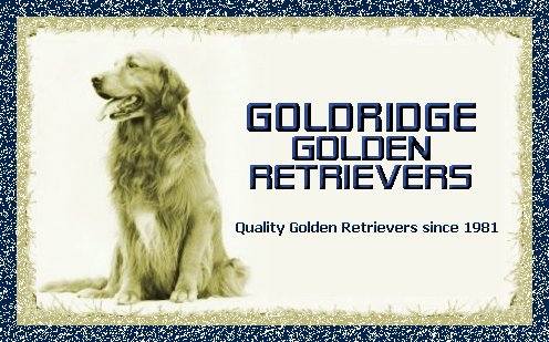 Goldridge Golden Retrievers